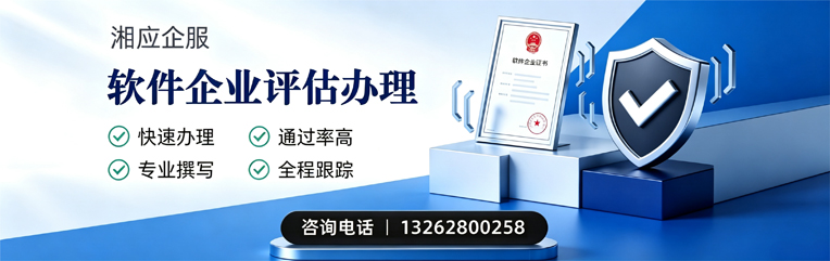 海口软件企业评估申报服务