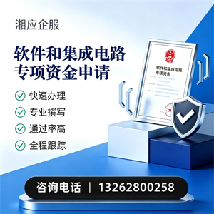 海口软件和集成电路专项资金申报服务