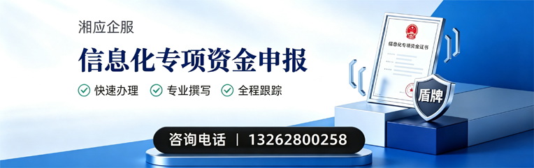 海口信息化专项资金申报服务