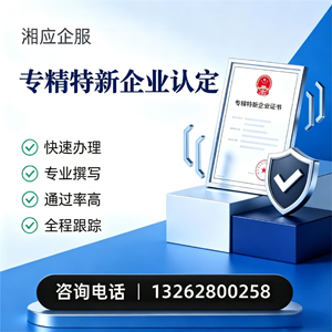 海口专精特新企业申报服务