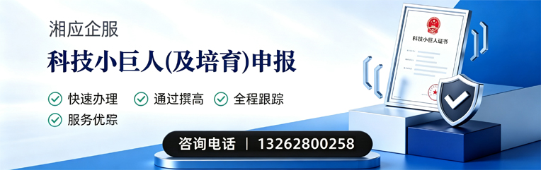 海口科技小巨人及培育企业申报服务