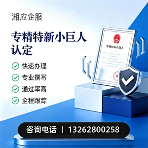 海口专精特新小巨人申报服务