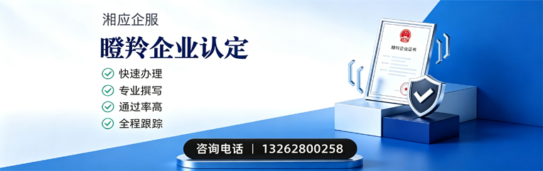 海口瞪羚企业认定申报服务
