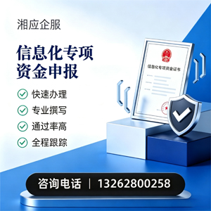 海口信息化专项资金申报服务