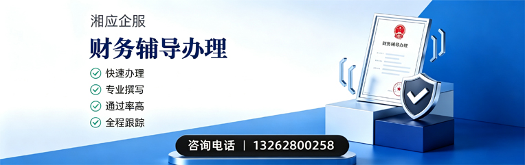 海口财务辅导申请服务