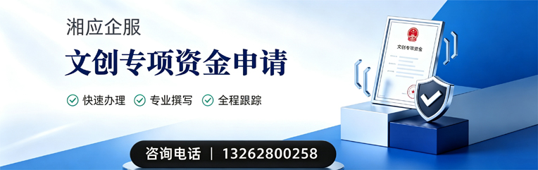 海口文创专项资金申报服务
