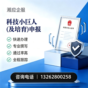 海口科技小巨人及培育企业申报服务