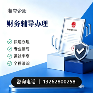 海口财务辅导申请服务