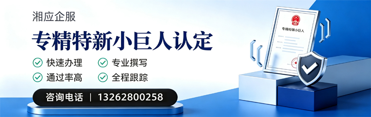 海口专精特新小巨人申报服务
